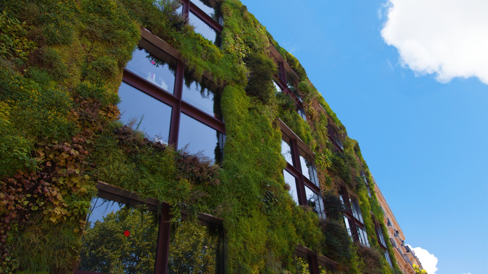 Arquitectura ecológica, ¿qué es y en qué se fundamenta?