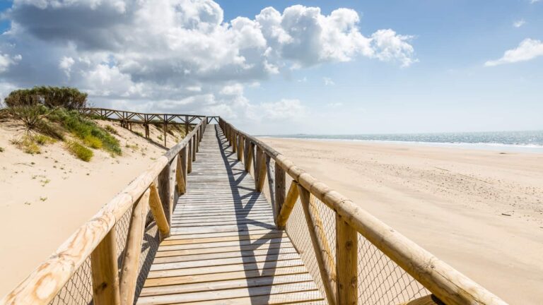 vacaciones en Huelva | Grupo Jamsa | playa y pasarela de madera