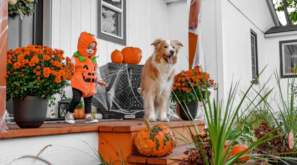 bebe disfrazado de calabaza en porche decorado de halloween | Blog Grupo Jamsa